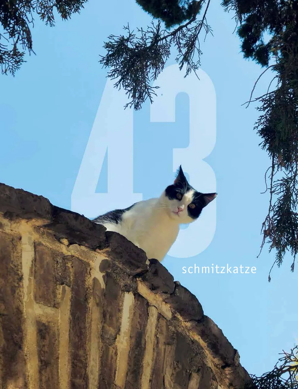 Cover der schmitzkatze 43